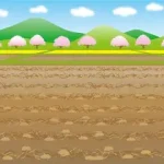 己（つちのと）